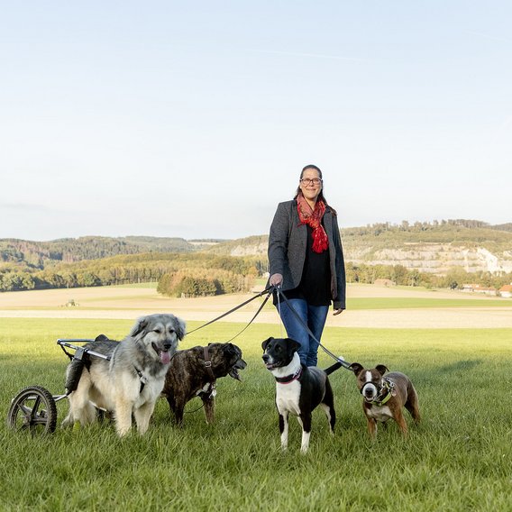 Picture of a woman with four dogs