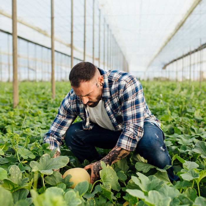 Man in the greenhouse