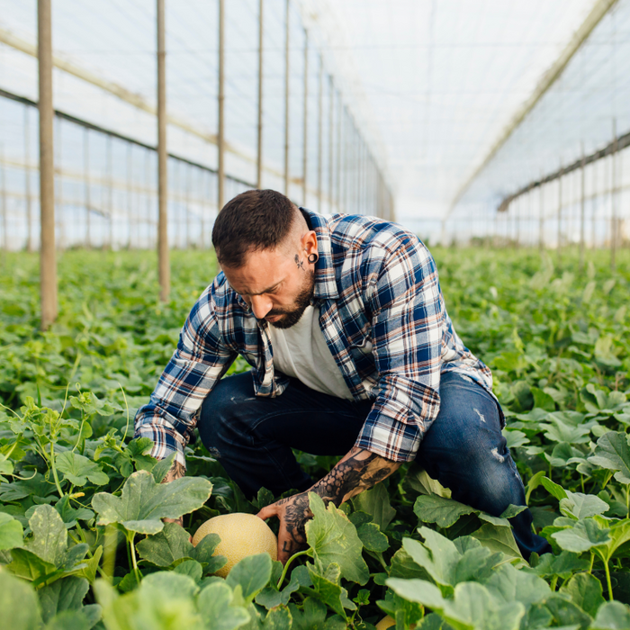 Man in the greenhouse